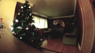 Beagle caught on tape home alone playing with ornament