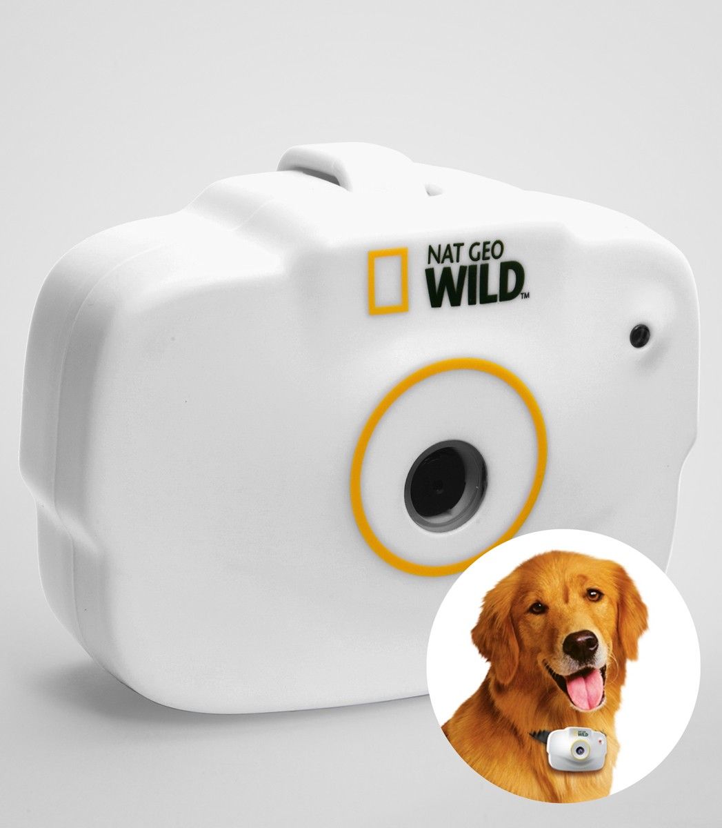 See what your pet sees with the National Geographic Camera