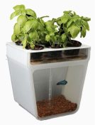 The Aquaponics Garden allows fish to grow food