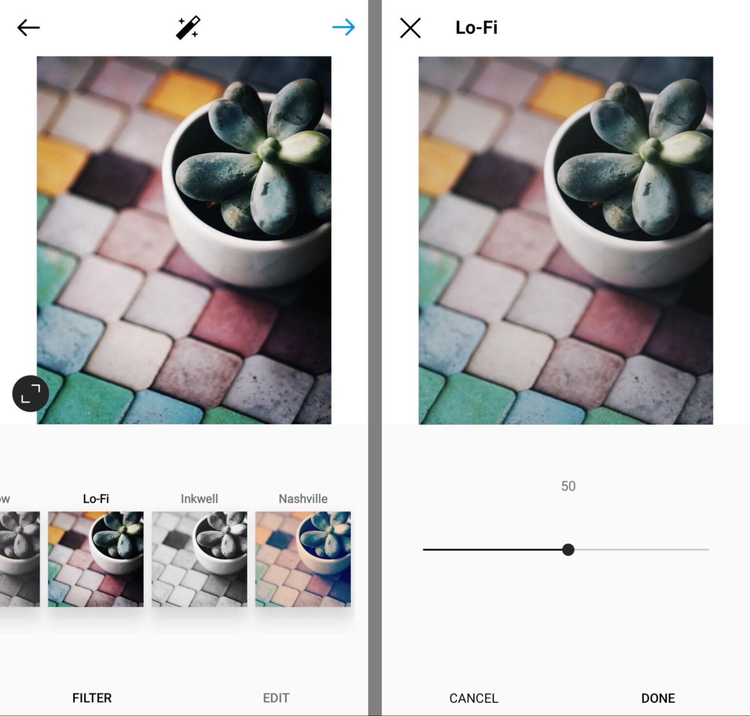 Can Twitter's photo edit options really hurt Instagram?