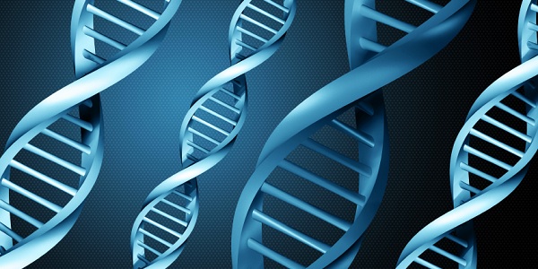 Synthetic DNA used as data storage shouldn't terrify earth's current inhabitants yet