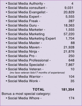 Beware of self-appointed social media gurus, ninjas, and evangelists 1 social-media-guru-2