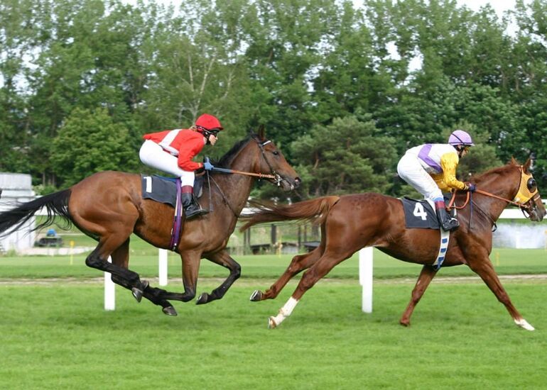 The social media lead generation horse race