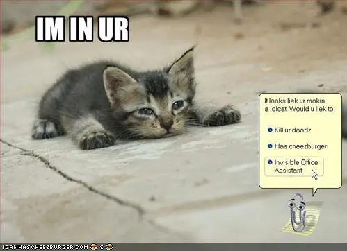 Twitter adds lolcatz to language options, somehow fails to be clever with it