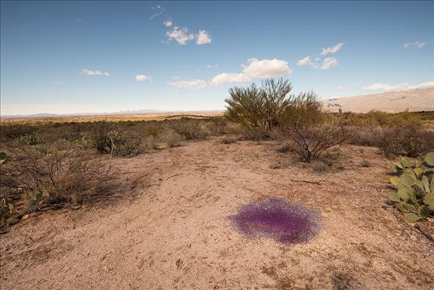 Mysterious Purple Balls