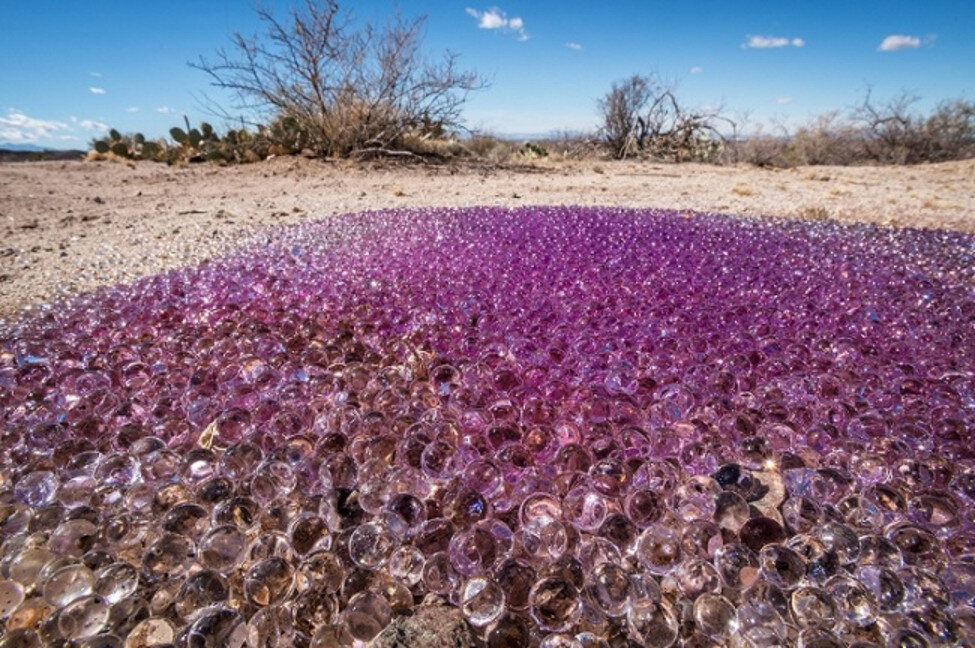 Mysterious purple slime balls pop up in Arizona desert