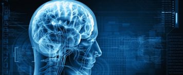 A “smart” science lesson