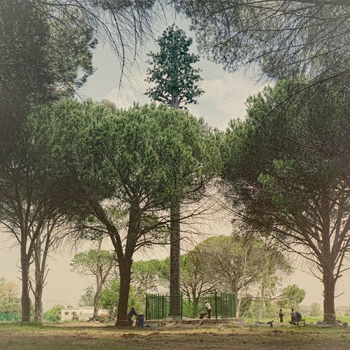 12 examples of cell phone towers disguised as trees 12 cell-phone-tower-tree-12-2