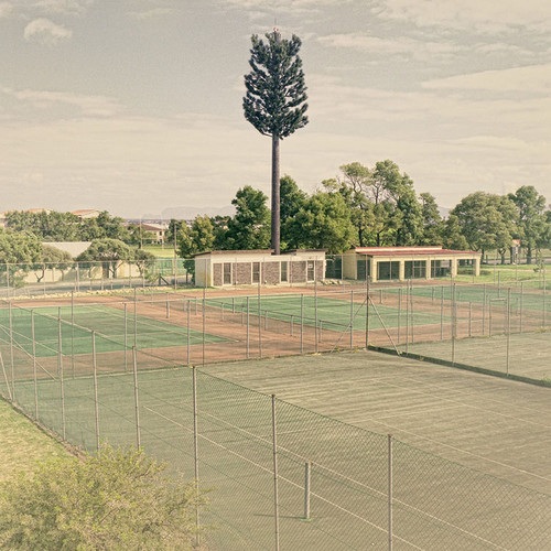 12 examples of cell phone towers disguised as trees 2 cell-phone-tower-tree-2-2