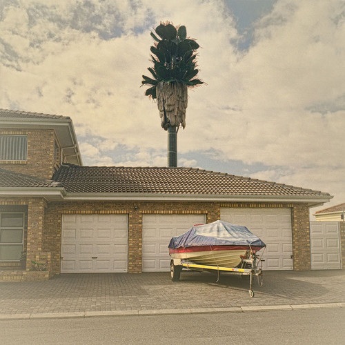 12 examples of cell phone towers disguised as trees 5 cell-phone-tower-tree-5-2