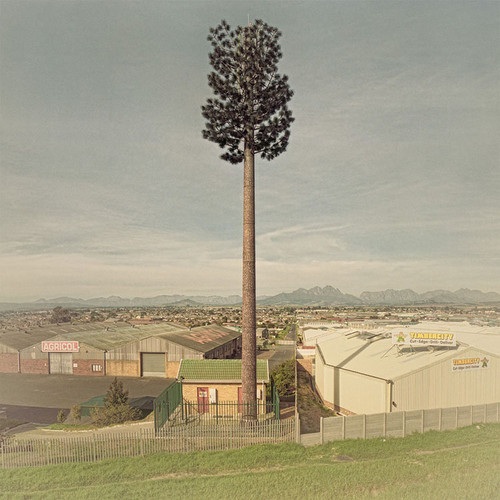 12 examples of cell phone towers disguised as trees 7 cell-phone-tower-tree-7-2