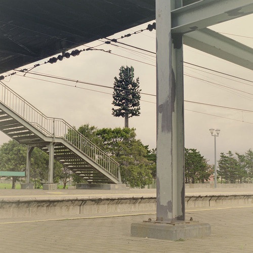 12 examples of cell phone towers disguised as trees 9 cell-phone-tower-tree-9-2