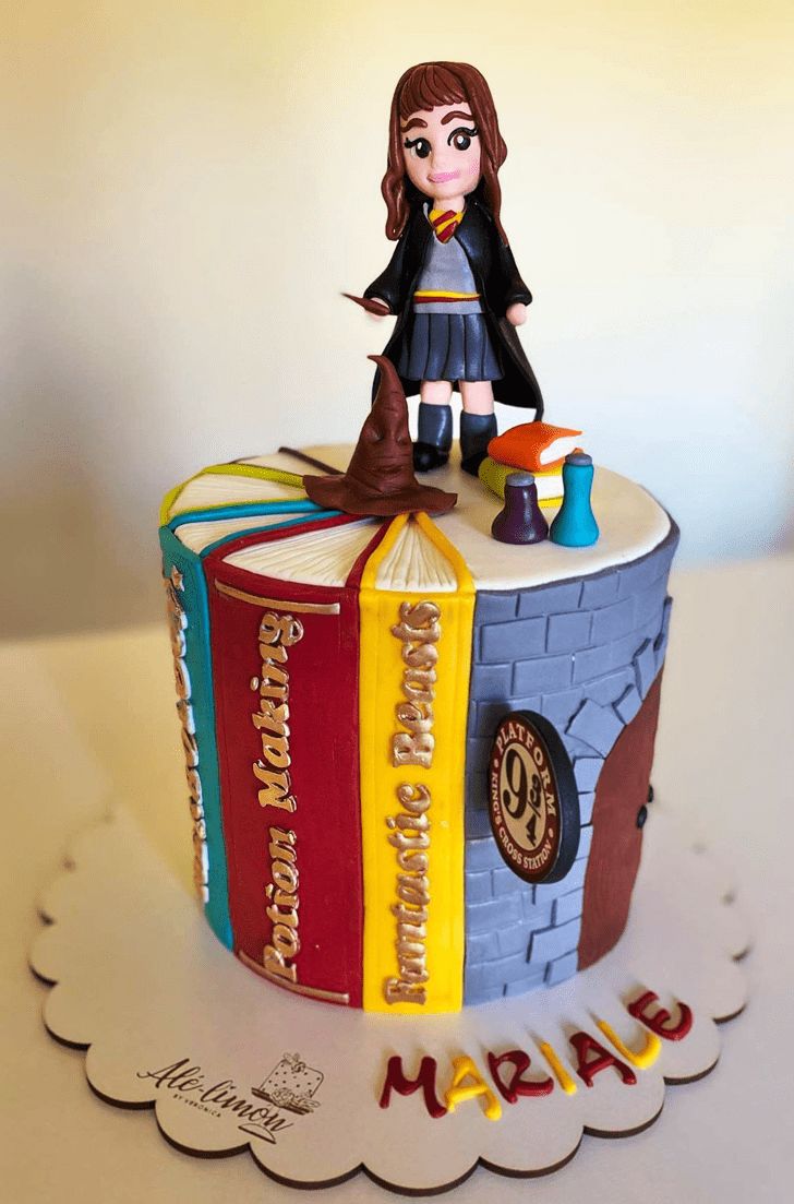 Hermoine's Bag Cake