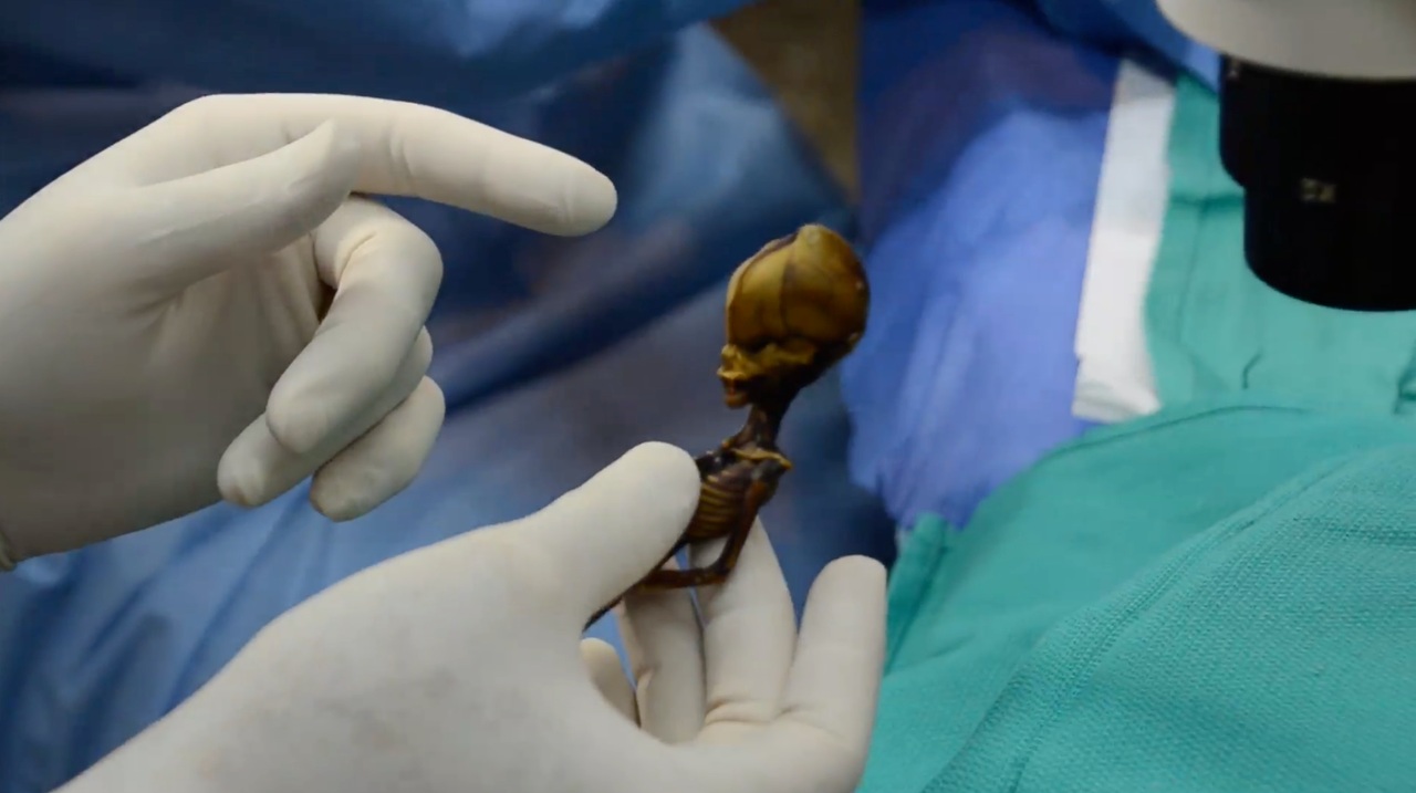 little-alien-2