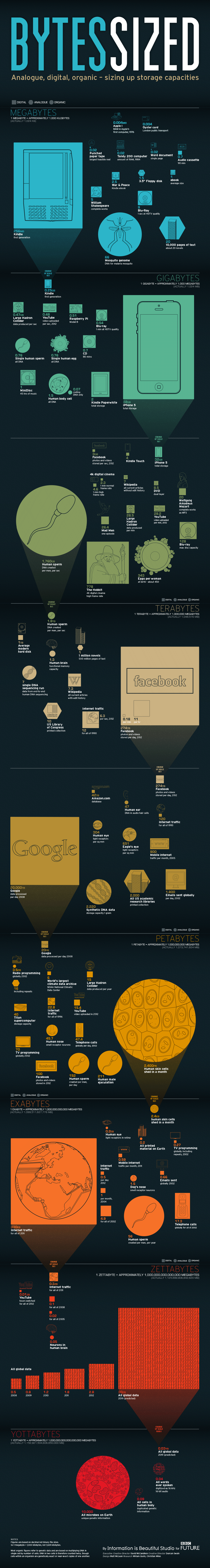 Bytesized Infographic