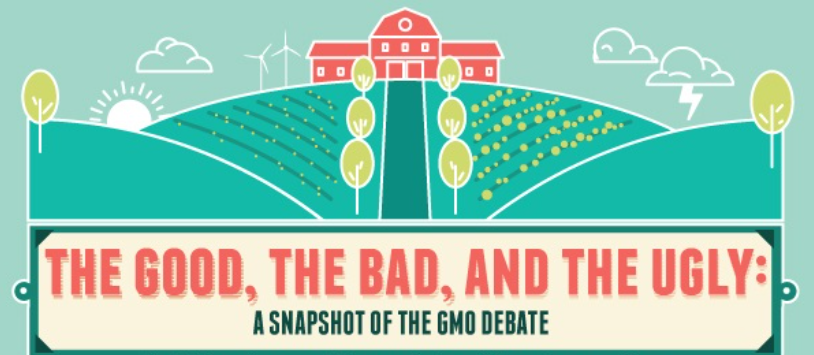 #Infographic: A relatively unbiased look at GMO