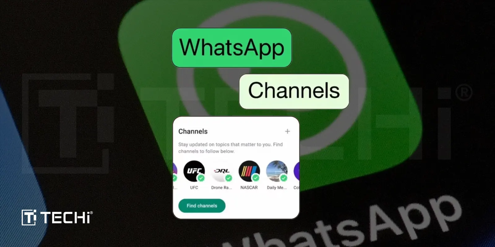 WhatsApp Channels Feature on Web Client