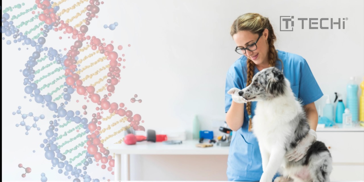 Veterinarian with dog showcasing breakthrough stem cell therapy in pet medicine