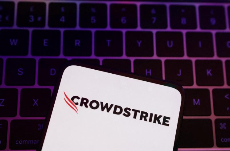 CrowdStrike Stock Fall 
