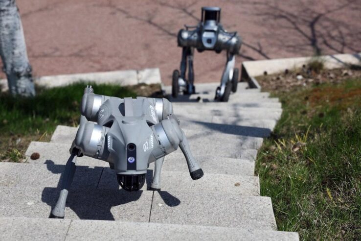Robot dogs climbing stairs, demonstrating advanced mobility and agility in a real-world environment.