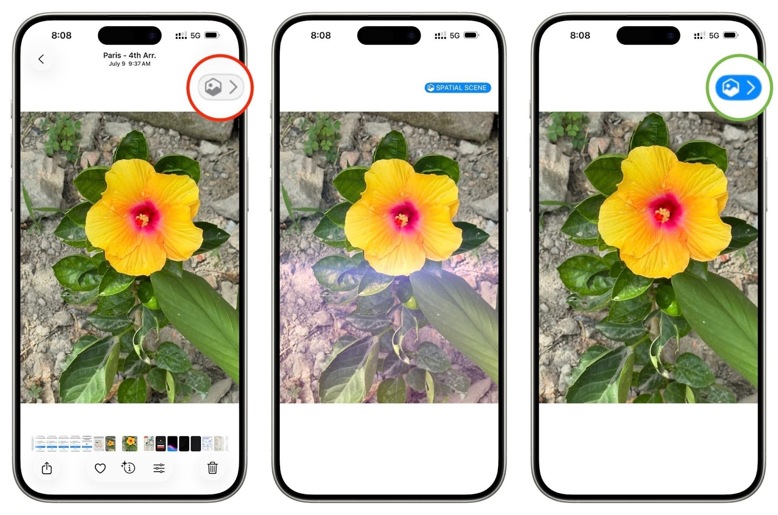 Three smartphones display the same photo of a yellow hibiscus flower with a red center, surrounded by green leaves and soil. Each screen shows a different viewing mode: one with a timestamp and location ("Paris - 4th Arr. July 9 9:37 AM"), one labeled "SPATIAL SCENE," and one with a blue-circled icon, suggesting varied photo features or augmented reality options.
