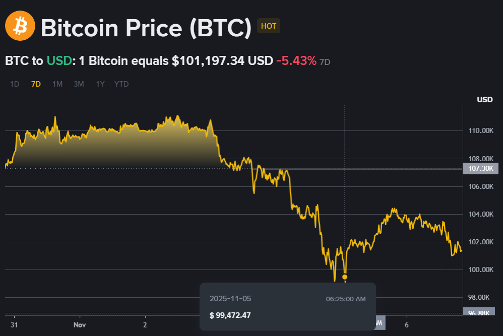 A Bitcoin price chart showing a recent drop. The price of 1 Bitcoin is $101,197.34 USD, down by 5.43% over the last 7 days, with a noticeable dip to $99,472.47 on November 5, 2025.








