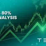 Examining the 80% Rally in TSLA Stock