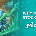 Micron Stock Appreciation in a turbulent market