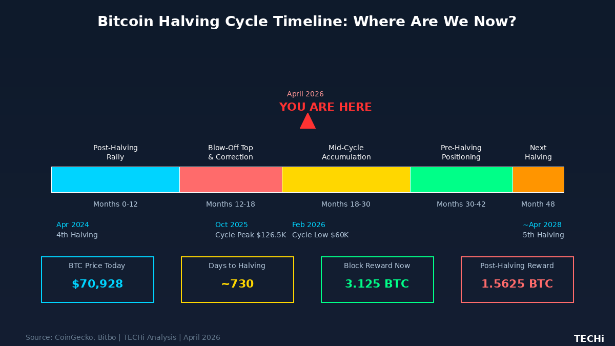 Bitcoin Halving 2028 Countdown: What History Says About Pre-Halving Price Action 2 halvingcycletimelinetechi 1